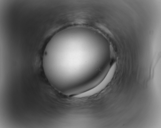 X0000089861160200707191915