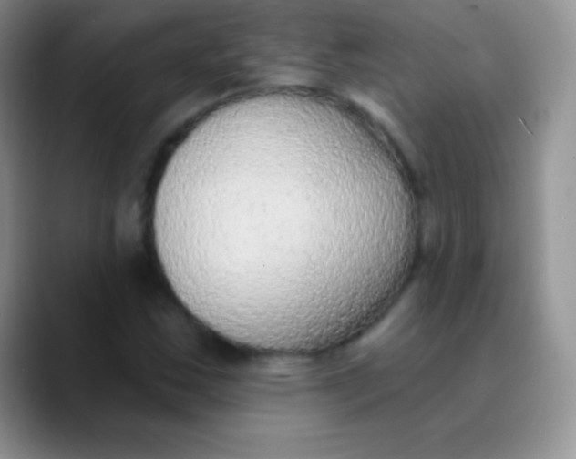 X0000089861163200707191915