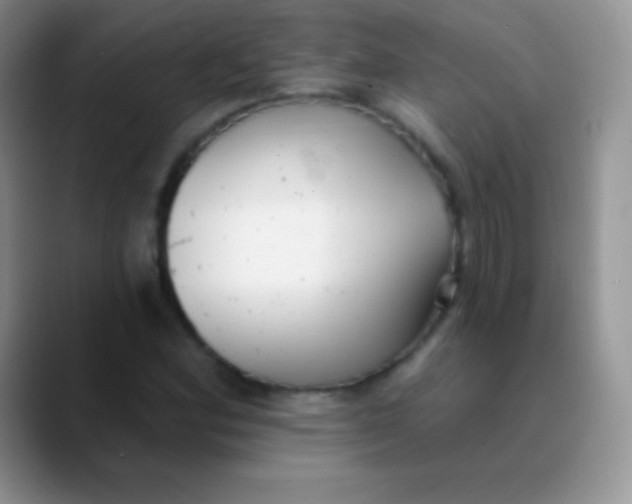 X0000089861164200707191915