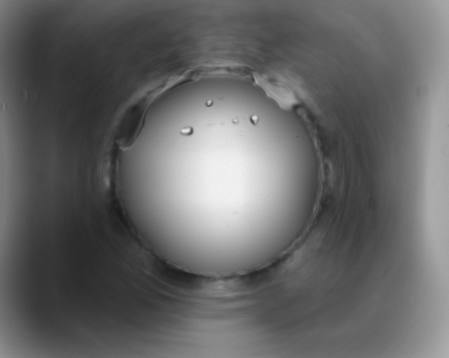 X0000089861165200707191915