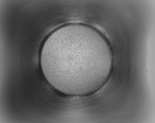 X0000089861167200707191915