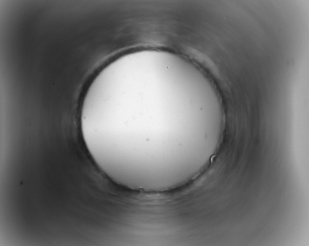 X0000089861168200707191915