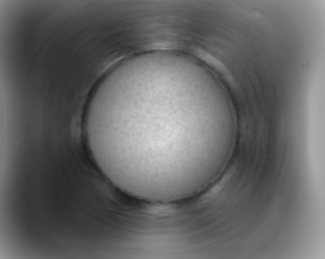 X0000089861170200707191915