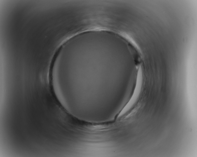 X0000089861173200707191915