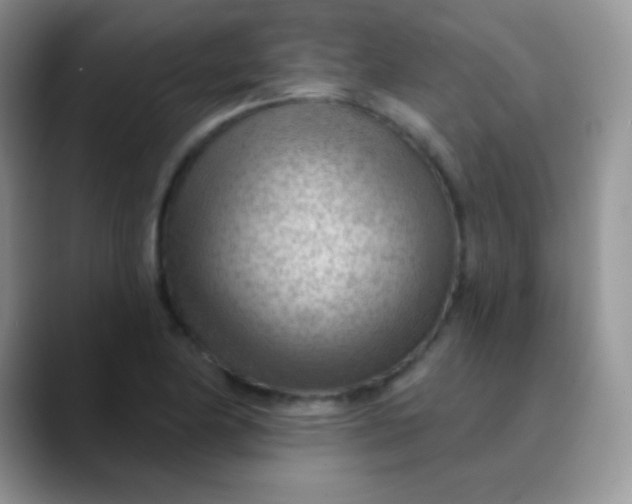 X0000089861174200707191915