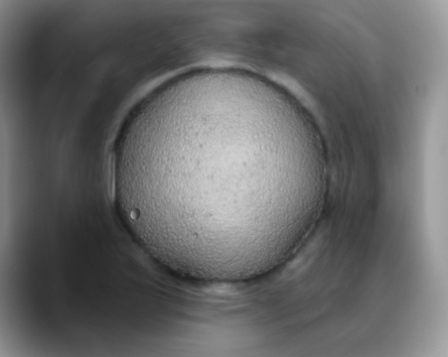 X0000089861175200707191915