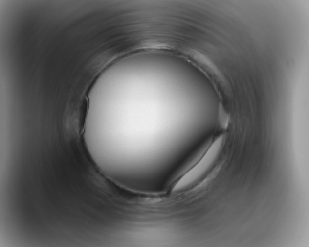 X0000089861177200707191915