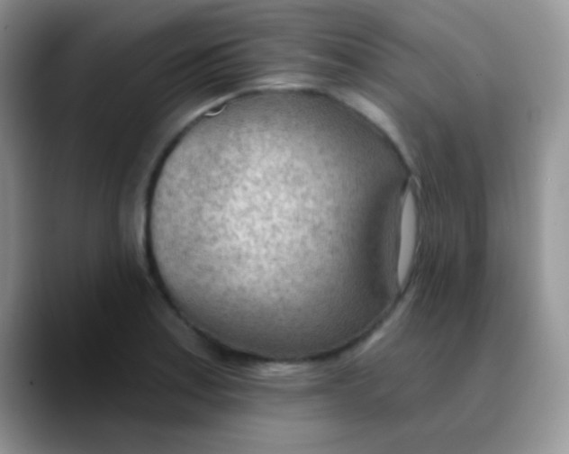 X0000089861179200707191915