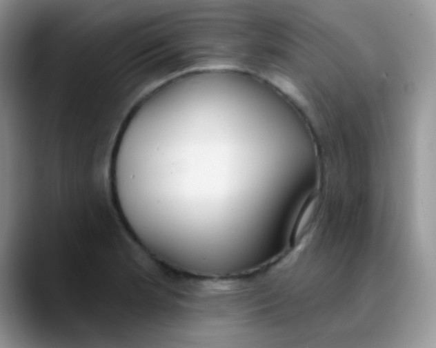 X0000089861181200707191915