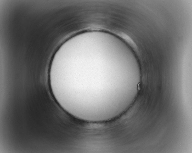 X0000089861183200707191915