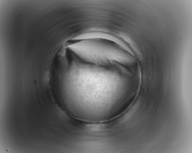 X0000089861185200707191915