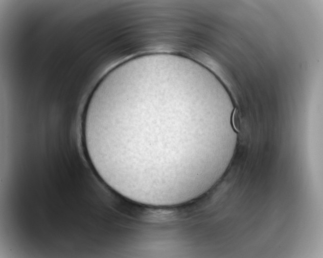 X0000089861187200707191915