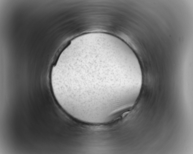 X0000089861189200707191915