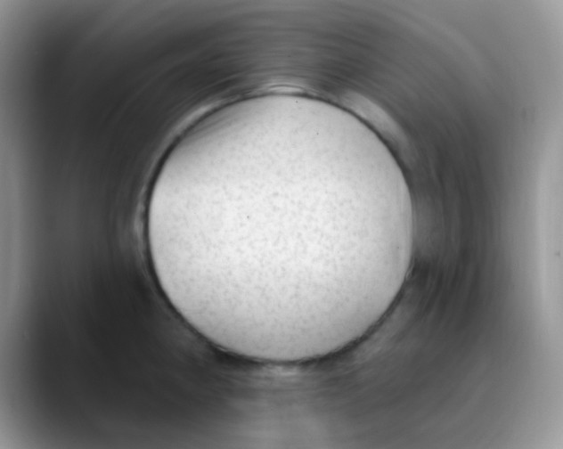 X0000089861190200707191915