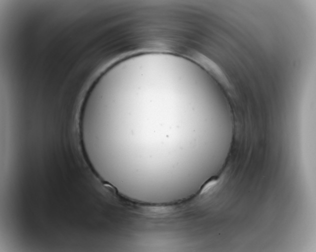 X0000089861192200707191915