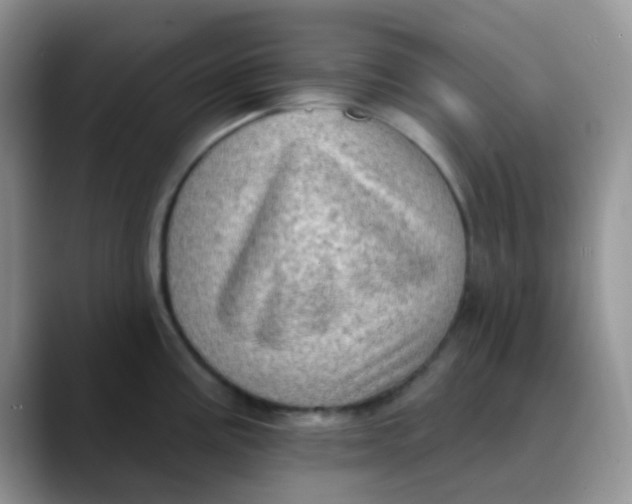 X0000089861195200707191915