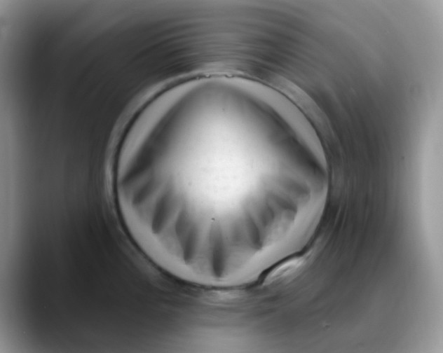 X0000089861196200707191915