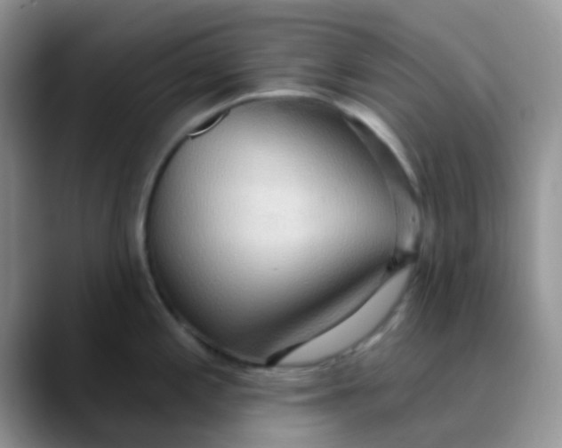 X0000089861197200707191915