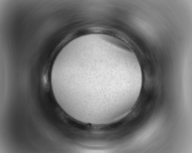 X0000089861198200707191915