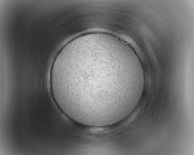 X0000089861199200707191915