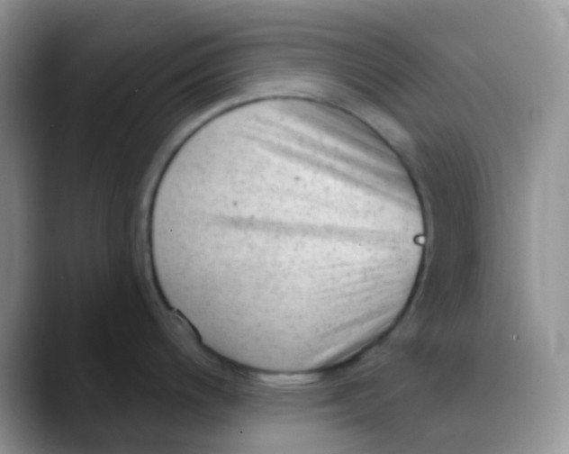 X0000089861200200707191915