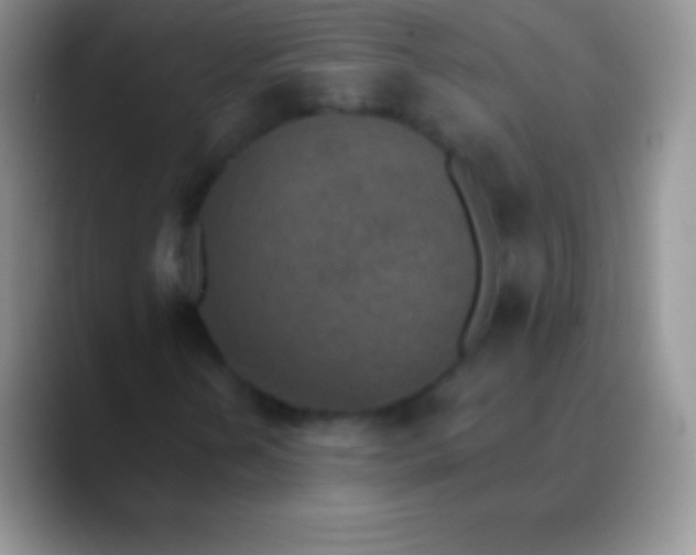 X0000089861202200707191914