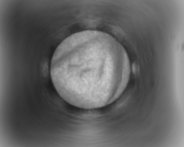 X0000089861203200707191914