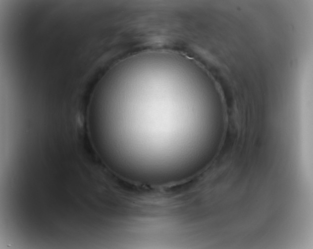 X0000089861206200707191914