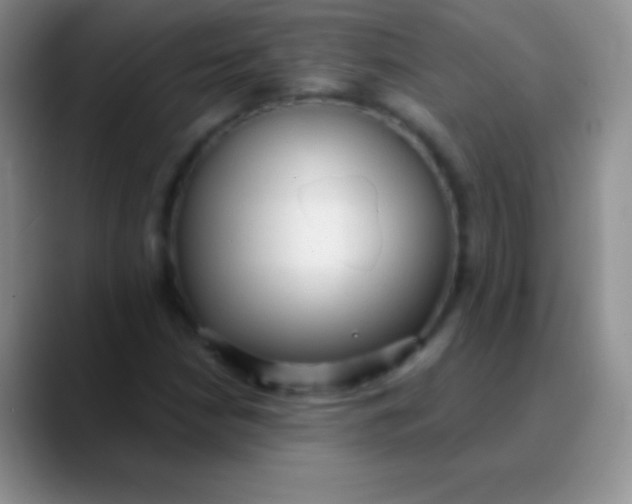 X0000089861210200707191914