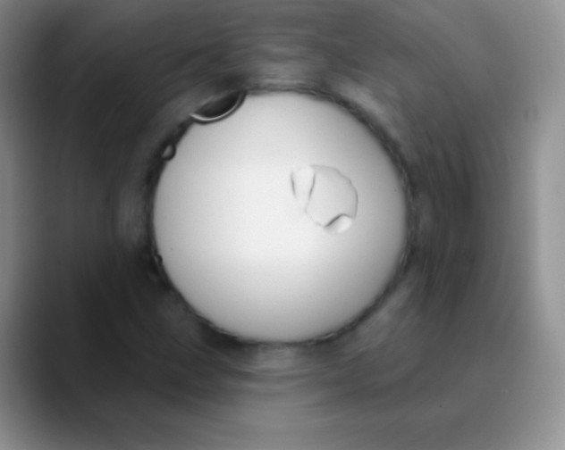 X0000089861211200707191914