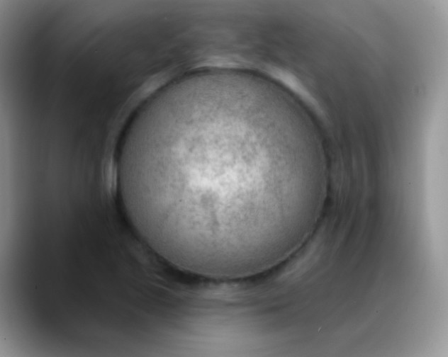 X0000089861221200707191914