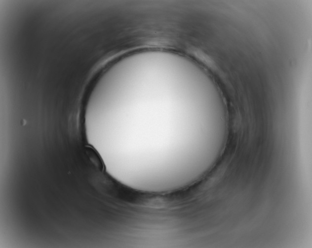 X0000089861222200707191914