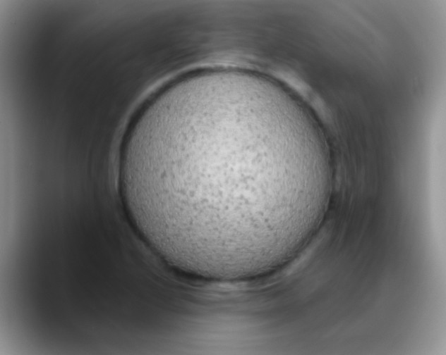 X0000089861224200707191914