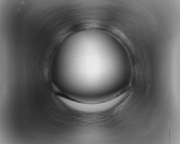 X0000089861225200707191914