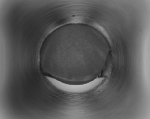 X0000089861226200707191914