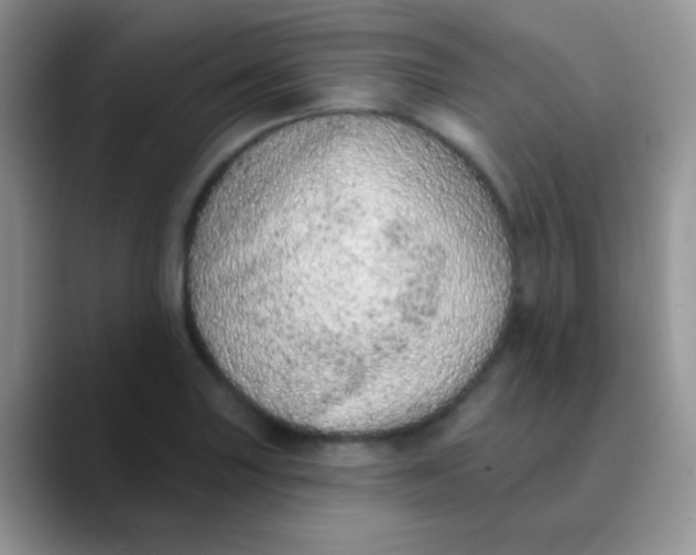 X0000089861227200707191914