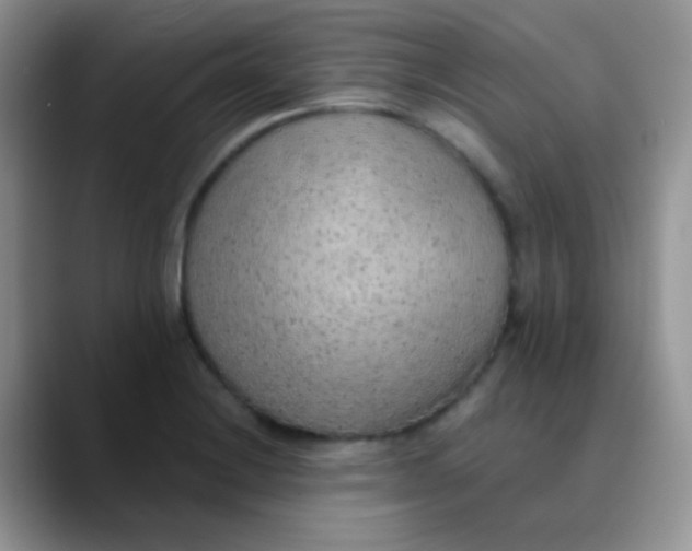 X0000089861228200707191914