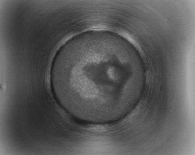 X0000089861229200707191914