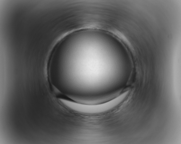 X0000089861230200707191914