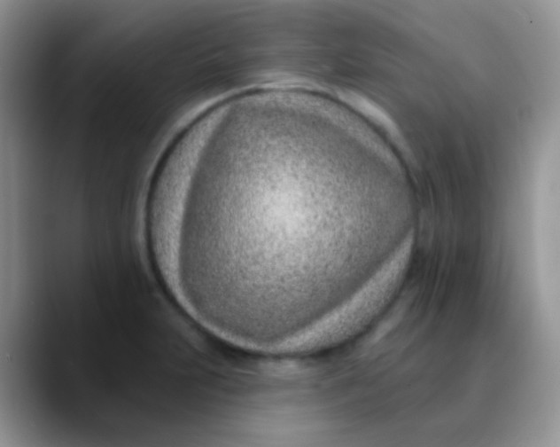 X0000089861231200707191914