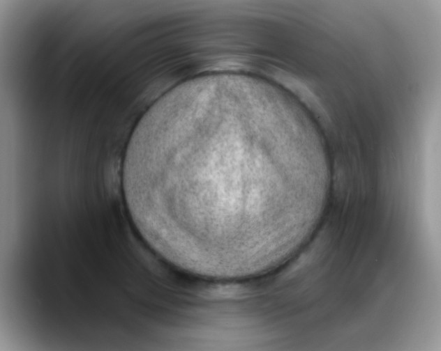 X0000089861233200707191914