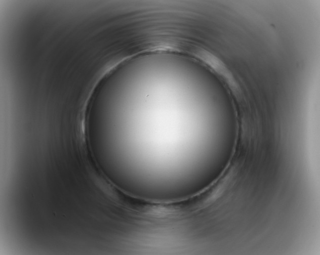 X0000089861234200707191914