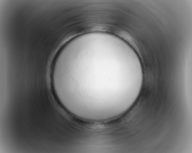 X0000089861235200707191914