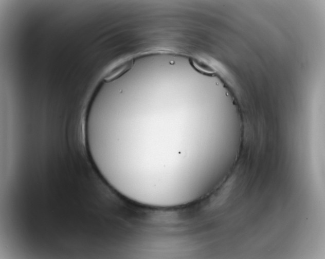 X0000089861238200707191914