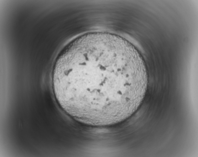 X0000089861239200707191914