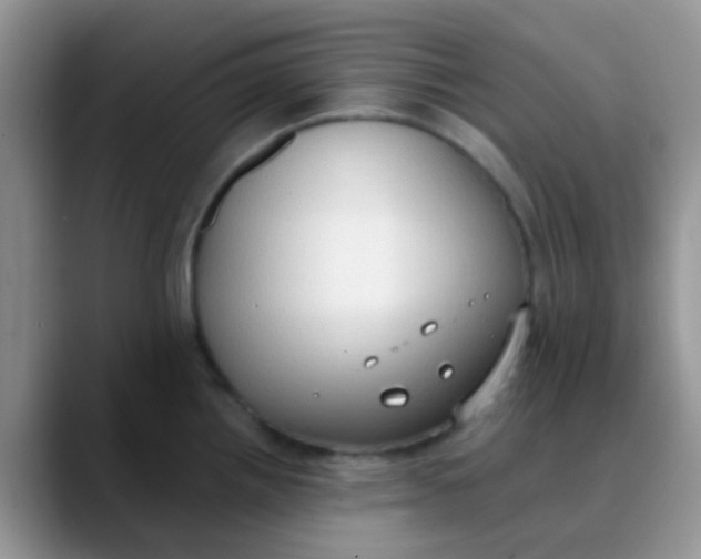 X0000089861242200707191915