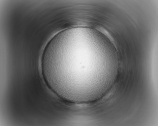 X0000089861243200707191915