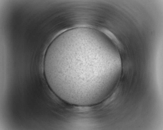 X0000089861244200707191915