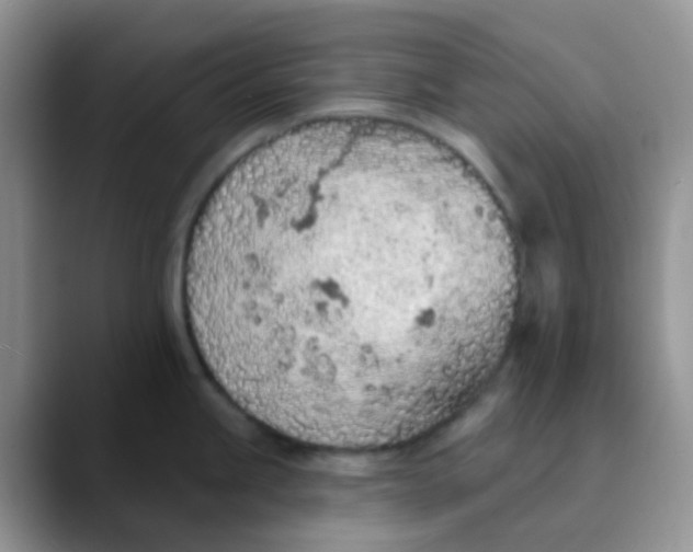 X0000089861245200707191915