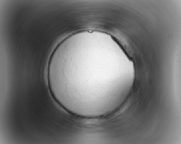 X0000089861247200707191915